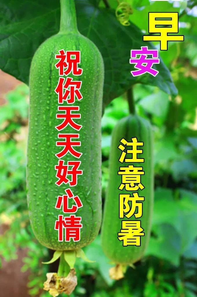 7月26日夏季早上好动态表情图片大全天气炎热注意防暑