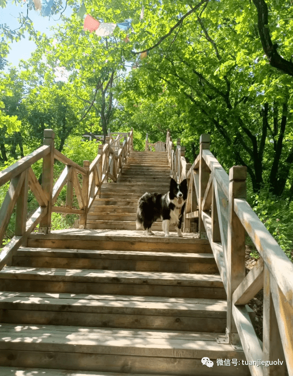 莲花山1日游45元巴图鲁天定山消夏灯会莲秀峰