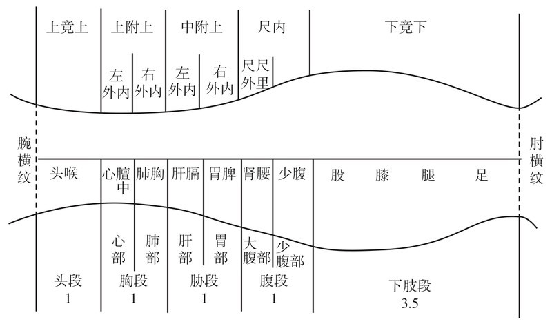黄帝内经中的神奇诊法看小臂知百病