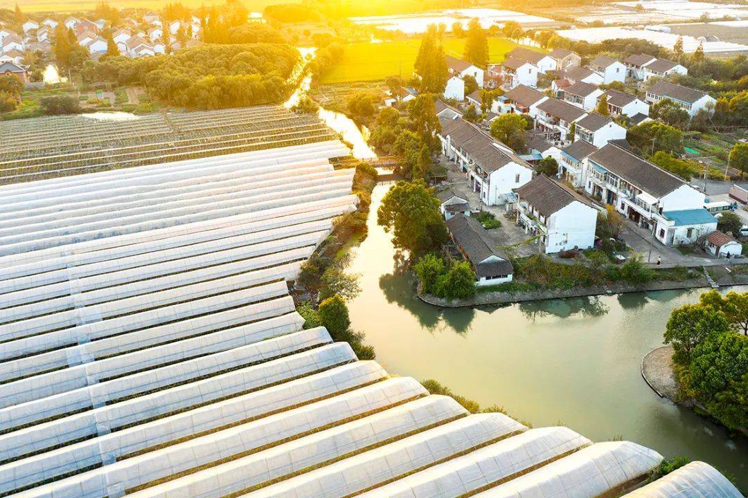 既要有高大上的新城也要有现代化新农村上海嘉定在努力圆村民的花园