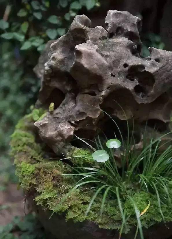 【乱石穿空】院无石不秀，室无石不雅