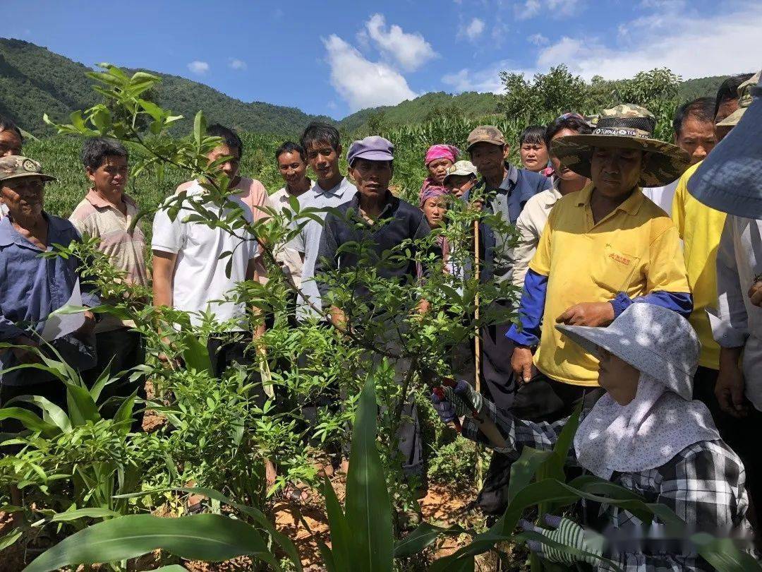 工会动态甘庄街道总工会开展2022年第三期农民工引导性培训