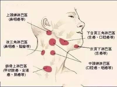 中医科普108这三处淋巴决定你身体90的疾病点赞收藏