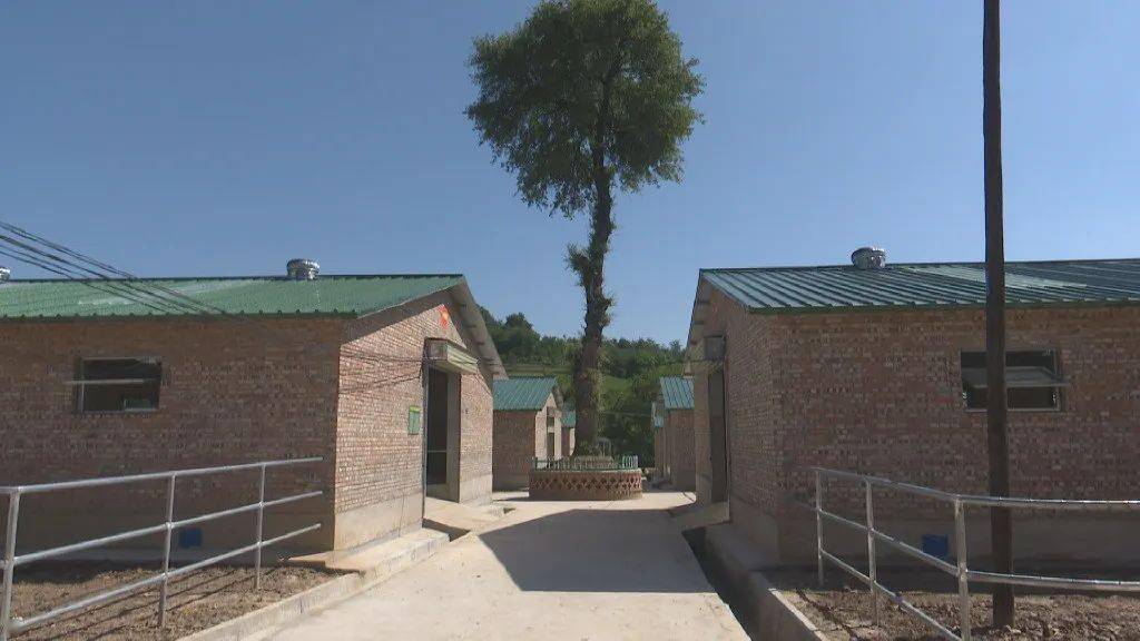 半年工作巡礼上关镇王家沟村稳步推进人畜分离养殖小区建设
