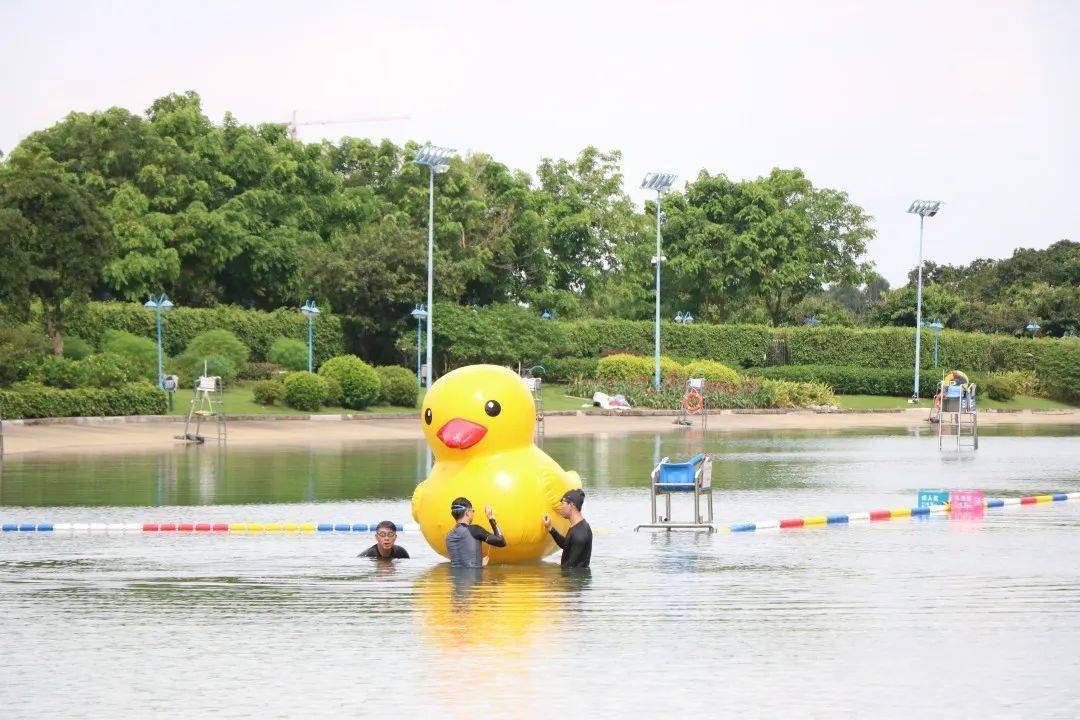 呆萌"小黄鸭"空降顺德,露天泳场今日开放→_佛山_新城_市民