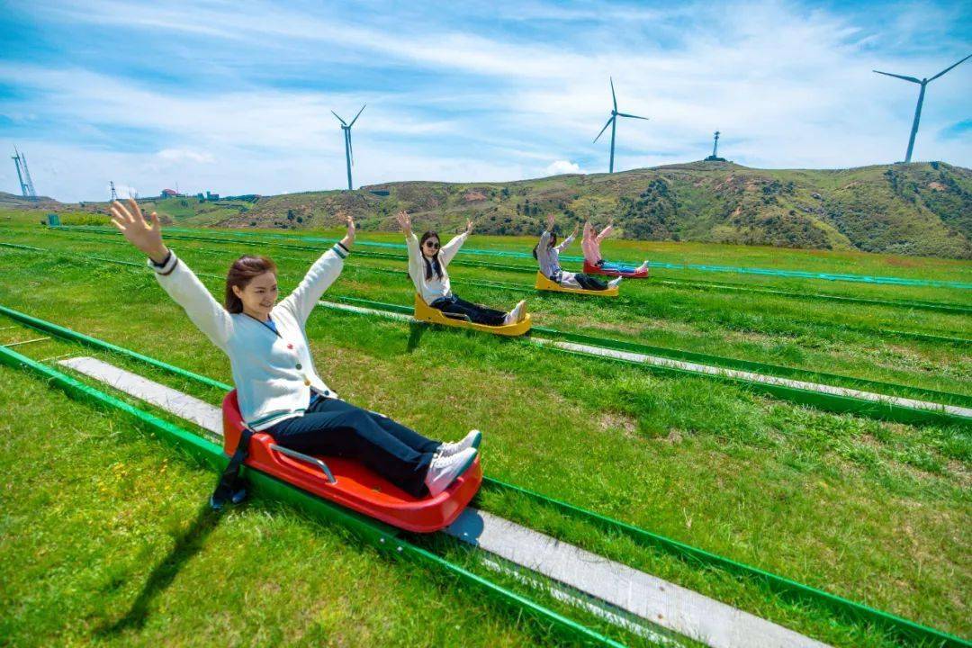 滑草放肆玩出片率超高景区内还有不少拍照点心形鸟巢 造型独特#心型