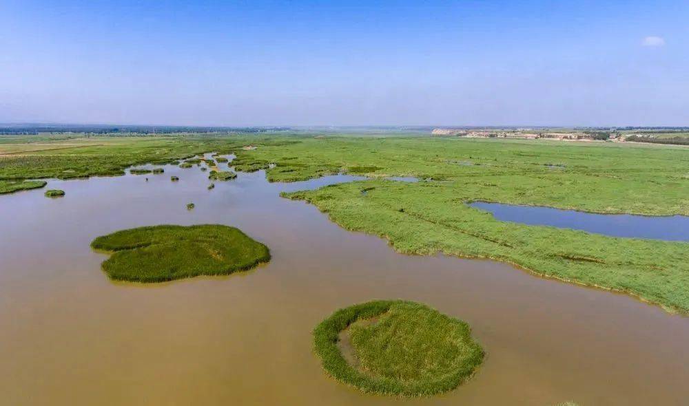 山阴桑干河湿地公园图片