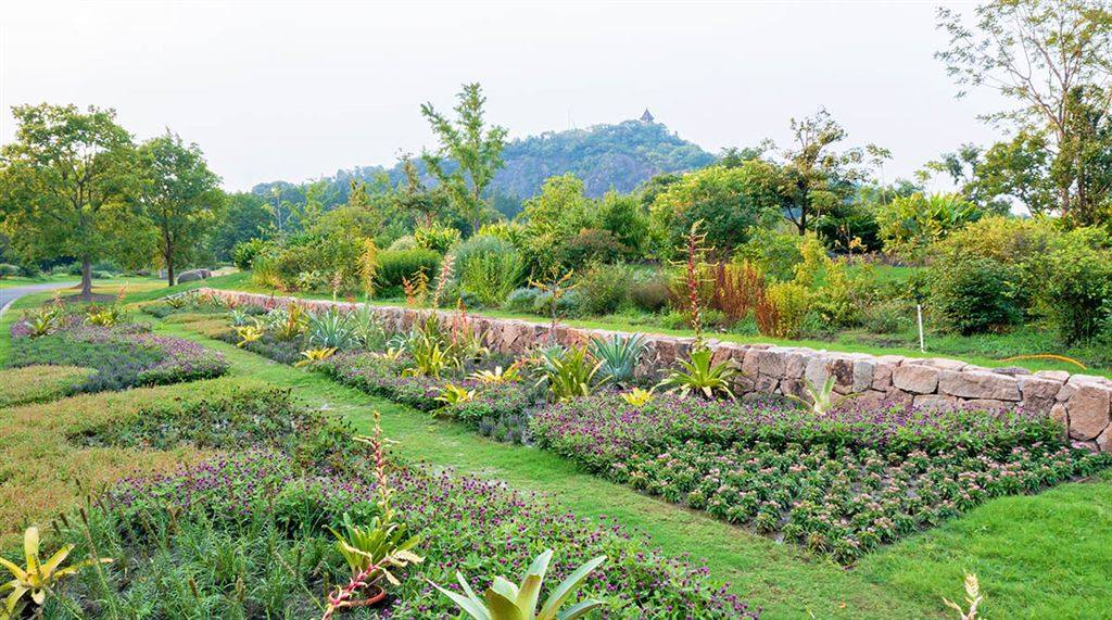 将观赏凤梨从温室 请 到室外上海辰山植物园打造全新主题花境 花卉 景观 进行 将观赏凤梨从温室 请 到室外上海辰山植物园打造全新主题花境 花卉 景观 进行