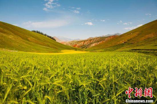 青海天境祁连夏日风光旖旎如诗似画