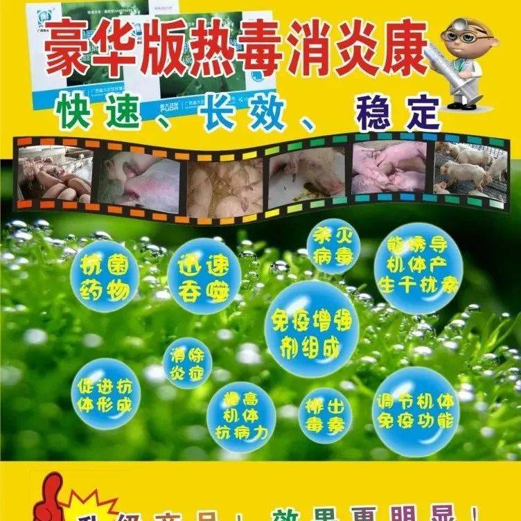 动物出现发热等混合感染用一般药效果不明显时,推荐使用长效热毒消炎王这个产品,许多兽医最后的杀手锏药物_疾病_病毒_功能