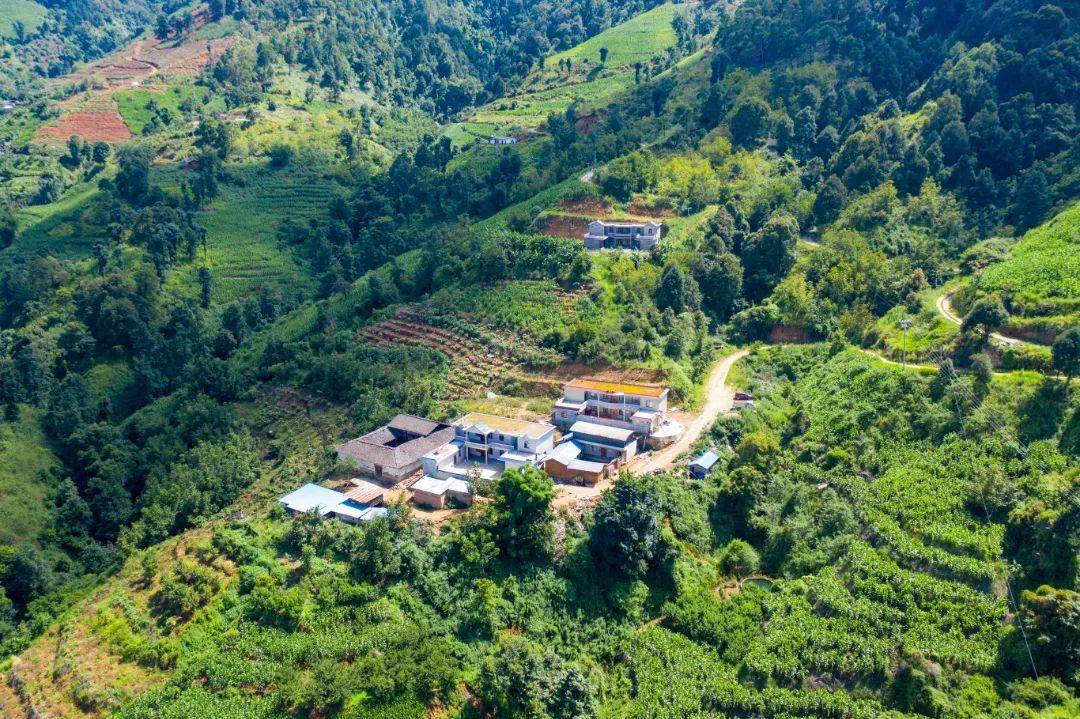 前进镇高峰村靠山吃山吃出金山银山乡村旅游让沉睡的大山活起来