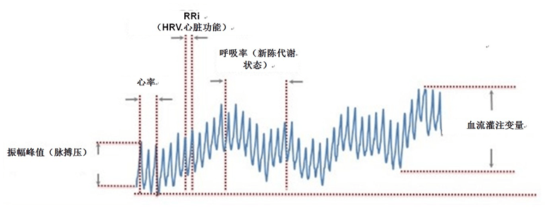 對於正常人(房顫時則不是),心跳和脈搏相對應,一次心跳對應一次脈搏.