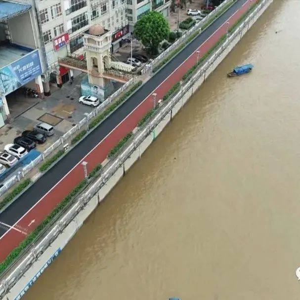 暴雨要来！今晚到6日，全区自东向西迎来大雨到暴雨、局地大暴雨天气 影响 降雨量 资料