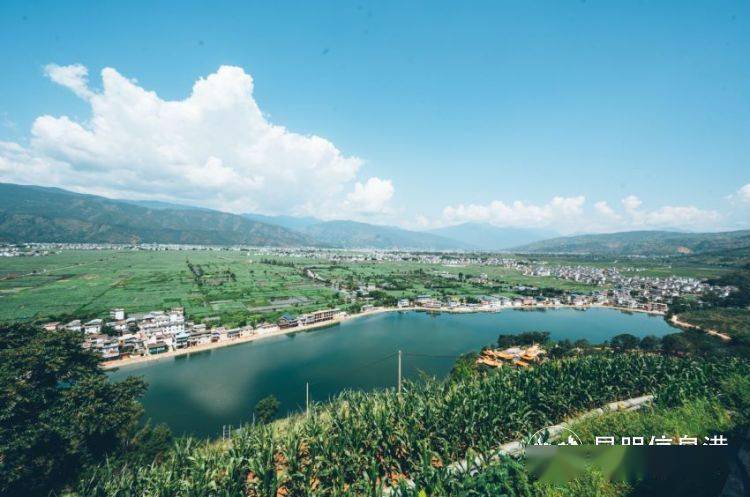 丽江永胜县首届夏日荷田趣三川三川荷花季开幕