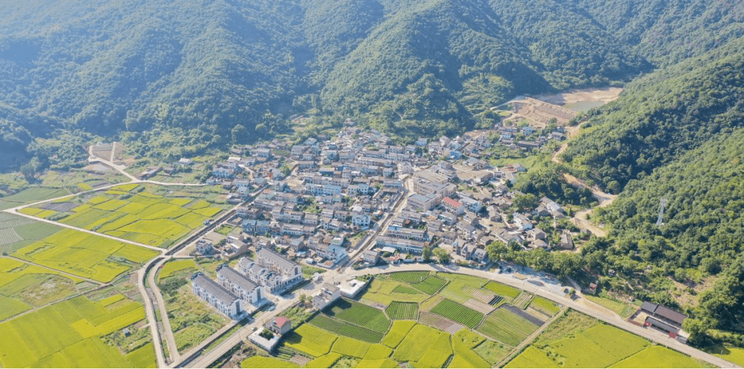 奉化区大埠村村庄鸟瞰图村庄简介1