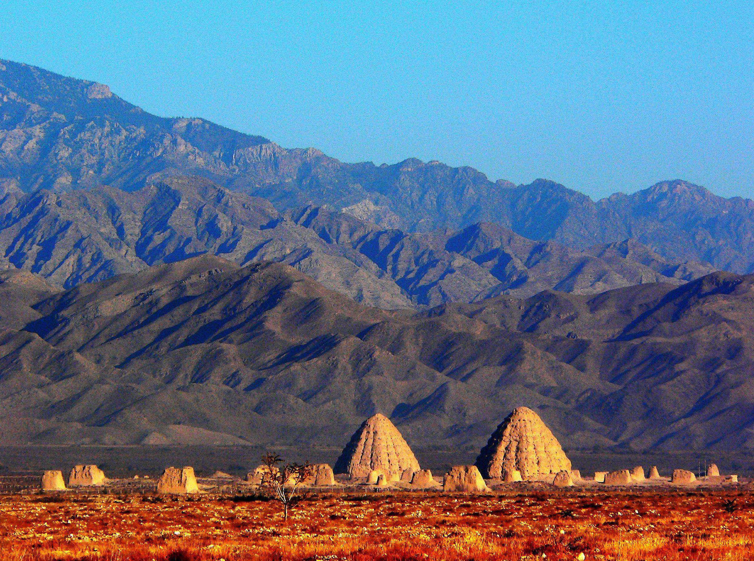 到星星的故乡共赴沙海星辰之约