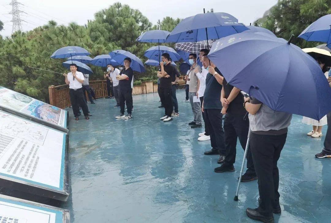 砚山县召开储备土地推介会_发展_产业_张弦