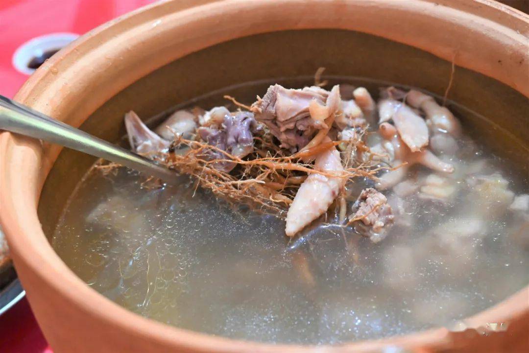 (麦冬炖土鸡汤)▲(牛奶根炖猪蹄汤)▲(七叶根炖土鸭汤)▲("丫好!
