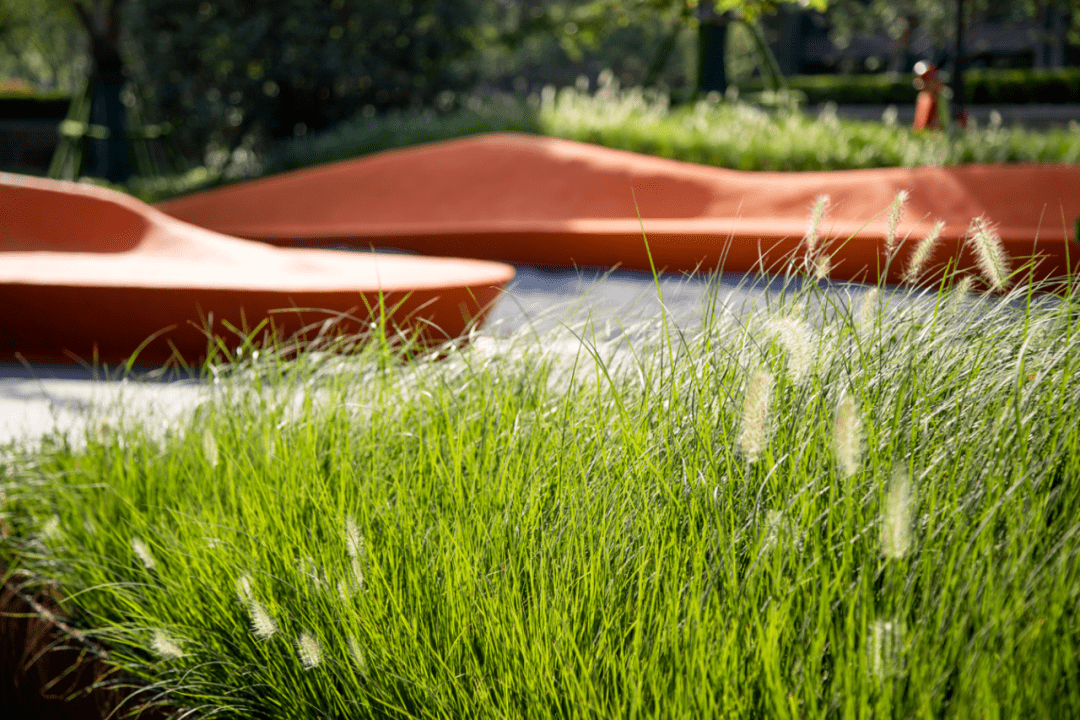 浪漫,在林下_景观_摄影_重庆