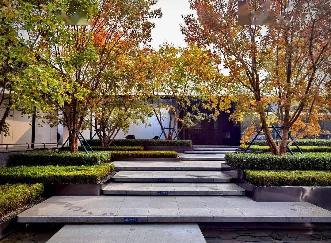 干货丨园路中的那些列植设计