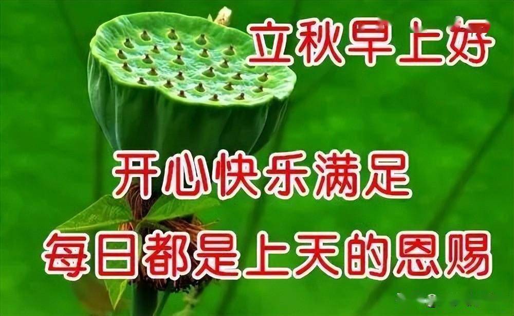 2022立秋最新早上好表情大全,心情好,身体好,万事好_秋风_问候_明月而