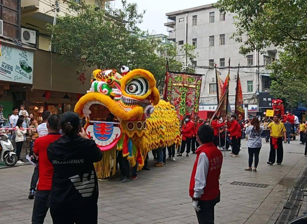 南山,新橋,松崗七星獅.深圳到底有多少本土醒獅?