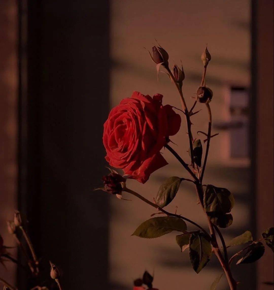 微信朋友圈背景图67