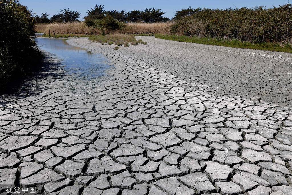 法国面临史上最严重干旱：多地缺水、粮食歉收、能源供应困难