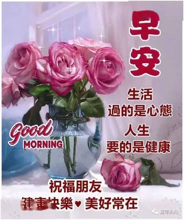 早上好表情包感谢有你一直陪伴天气炎热多喝水送给牵挂的你