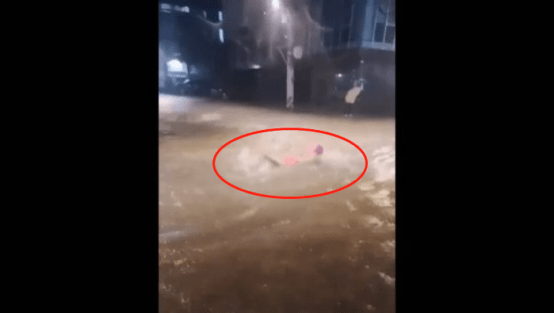 暴雨成灾，韩网民发“在雨水中游泳”视频、自制灾难片海报，引争议