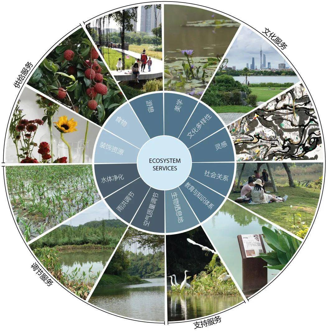 如何通过微博数据了解中国湿地生态系统服务感知水平_公园_研究_专业