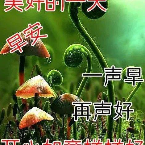 别为难自己!_如意_评价_开心