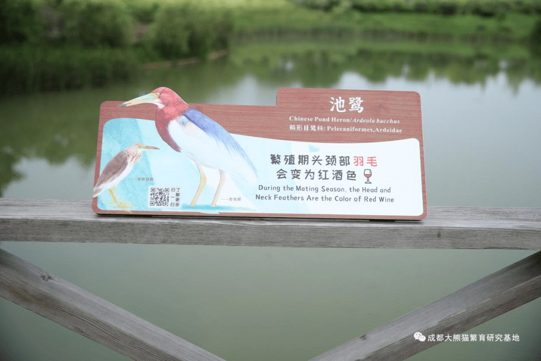 鸟类科普展示花样多 公众观鸟爱鸟兴趣浓