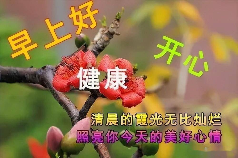 秋日最新早上好表情問候天氣炎熱願老朋友們保重身體