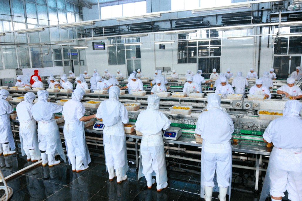 【夺旗打榜 事争一流】罐头食品专班半年工作情况_项目_生产_建设