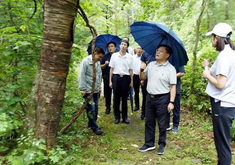 王兴柱调研第四届龙江东部湿地旅游联盟大会工作安排情况