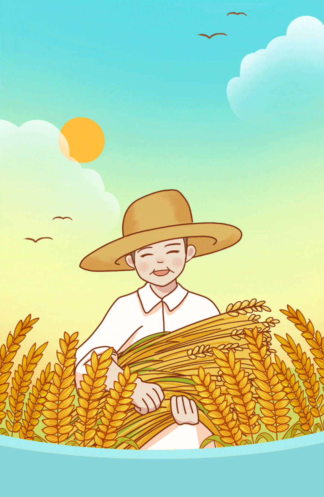 綦江_水稻_稻田