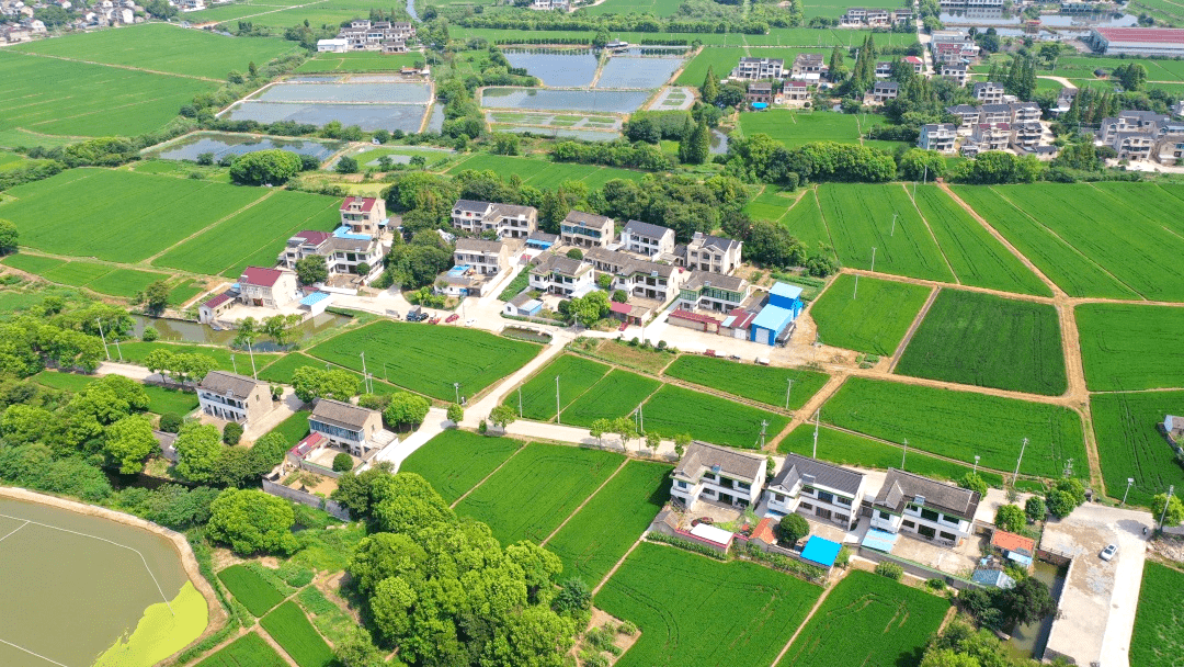 惠及农户34户,本次"千村美居"工程完成了河道清淤350多米,建设和翻新