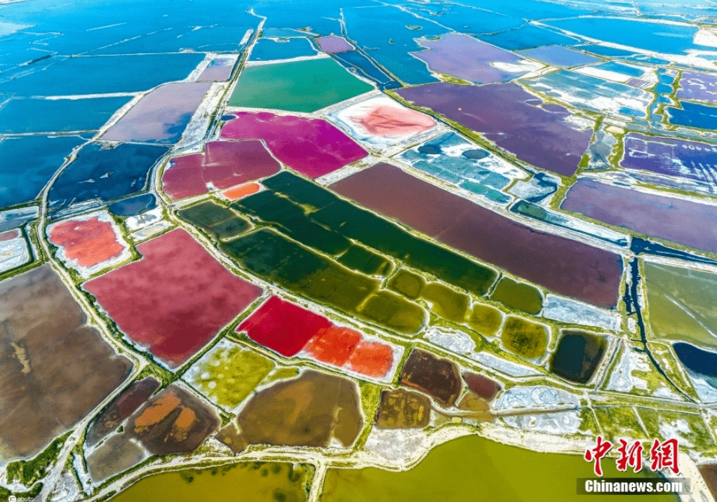 中越双语荷花微资讯山西运城七彩盐湖斑斓多姿俯瞰宛如巨型调色板