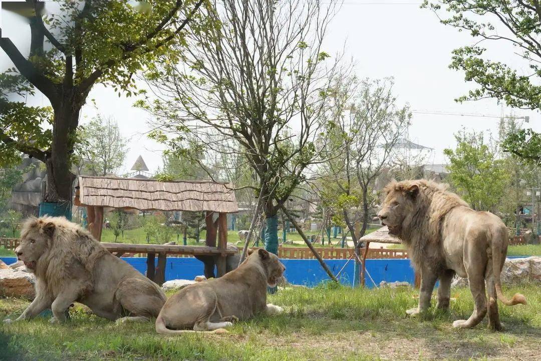 徐州彭园动物园图片
