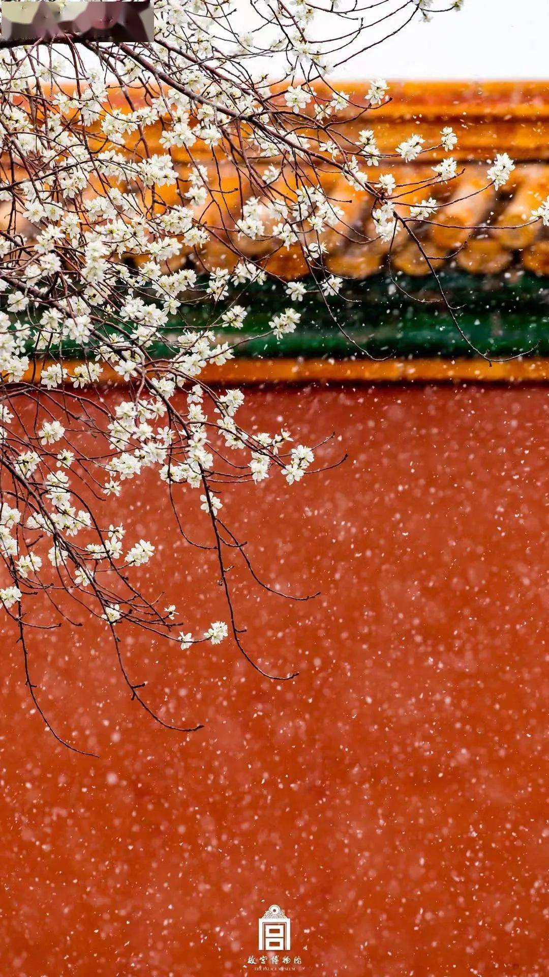 终于能把故宫美图一网打尽了!那些惊艳过你的四季壁纸都在这里