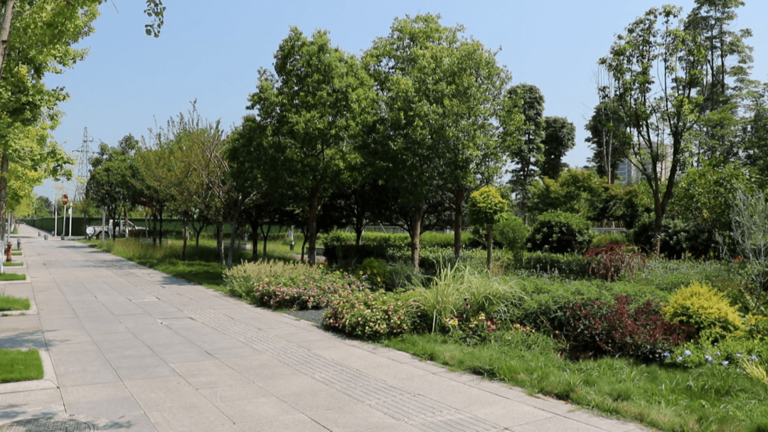 道路交通节点绿化打造 扮靓城市风景线