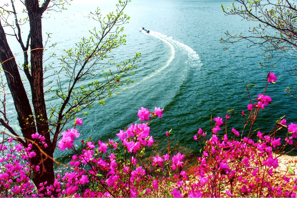 旅游丨心往长白山 松花江上游：这些松花江畔的美景