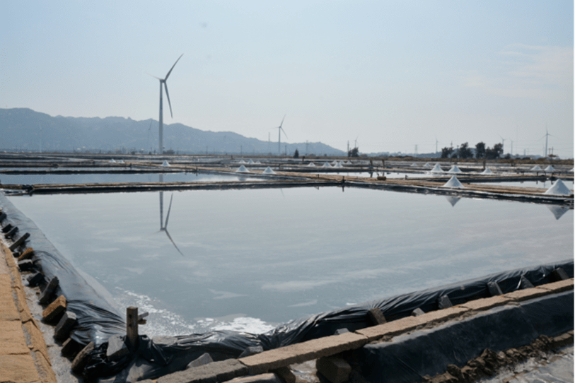 这其中,许多都是出自福建的莆田盐场!