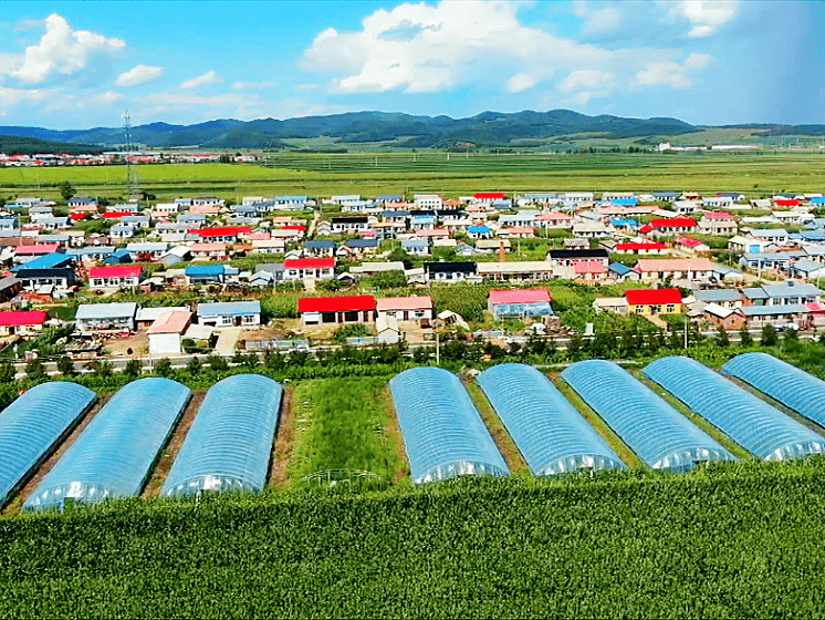 【迎旅发·吃在宝清】小城子镇甜瓜喜获丰收 瓜农心比蜜甜_香瓜_我家