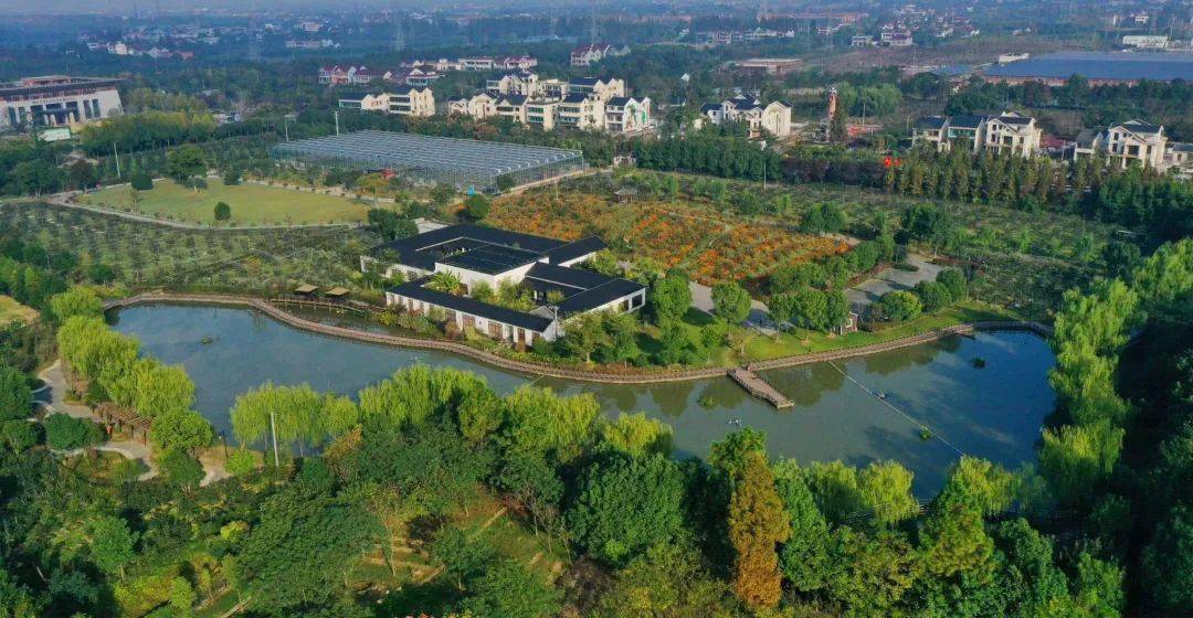 今年,石门镇墅丰村成功入选桐乡市新一轮全国文明村镇规划培育名单,该