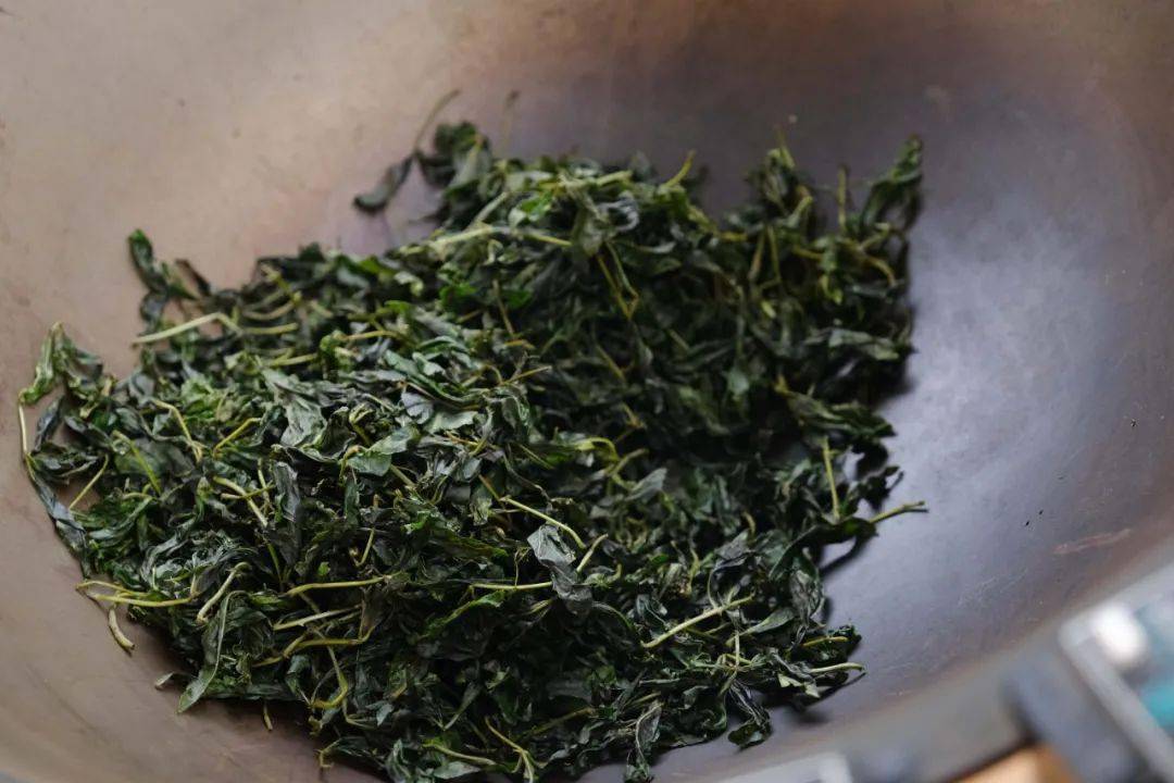 这个恩平田间的"野草",竟然会有清热排毒,消暑解渴,减肥抗疲劳的奇效!