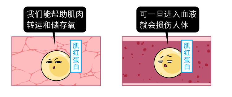 看完后我瑟瑟发抖_横纹肌_肌肉_朱女士