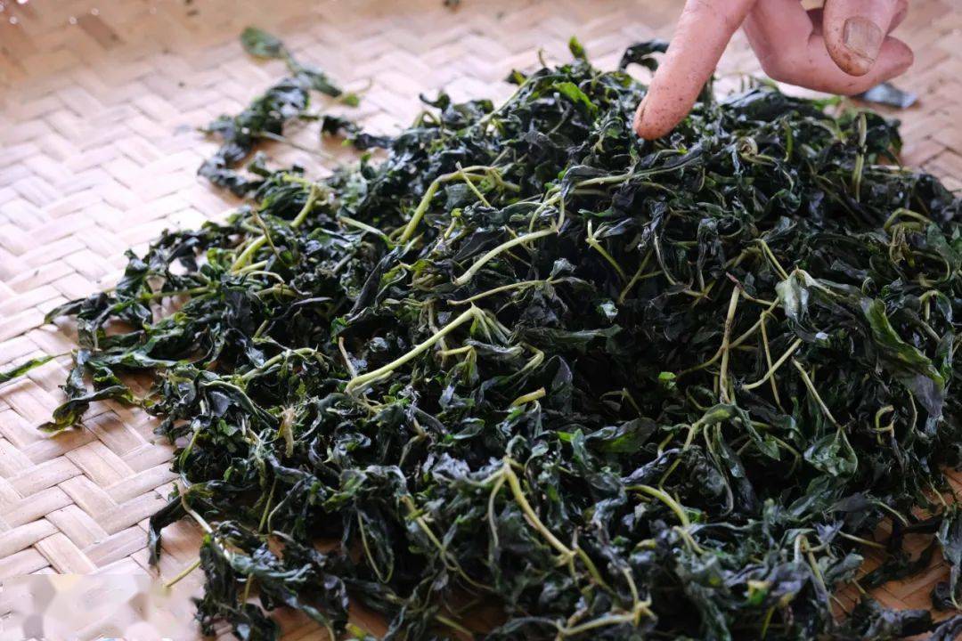 为了解决这个问题,恩平人想到了一个方法:就是将其精制成【簕菜茶】