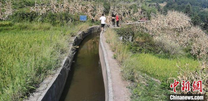 高温致重庆33个区县部分地区土壤轻到重度缺墒 正全力抗旱保供水